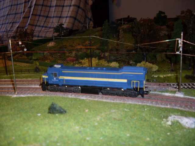 sdc14139.jpg