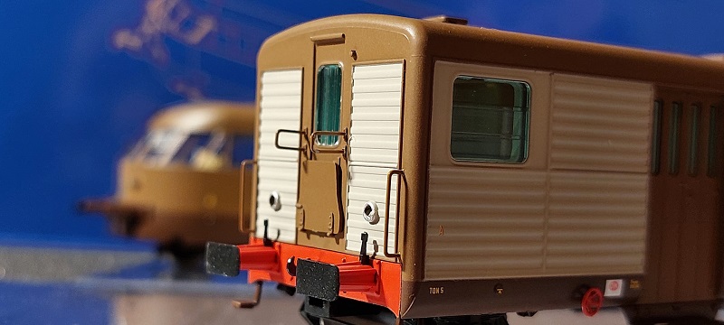 littorina11.jpg