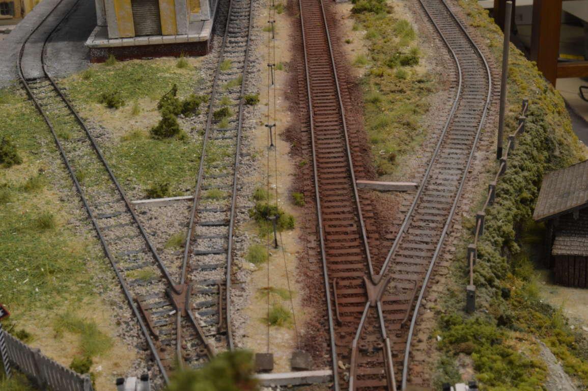 DSC_6374 (FILEminimizer).JPG