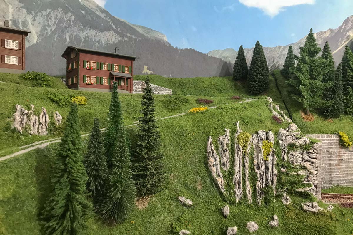 2023 03 03 - vegetazione-7.jpg