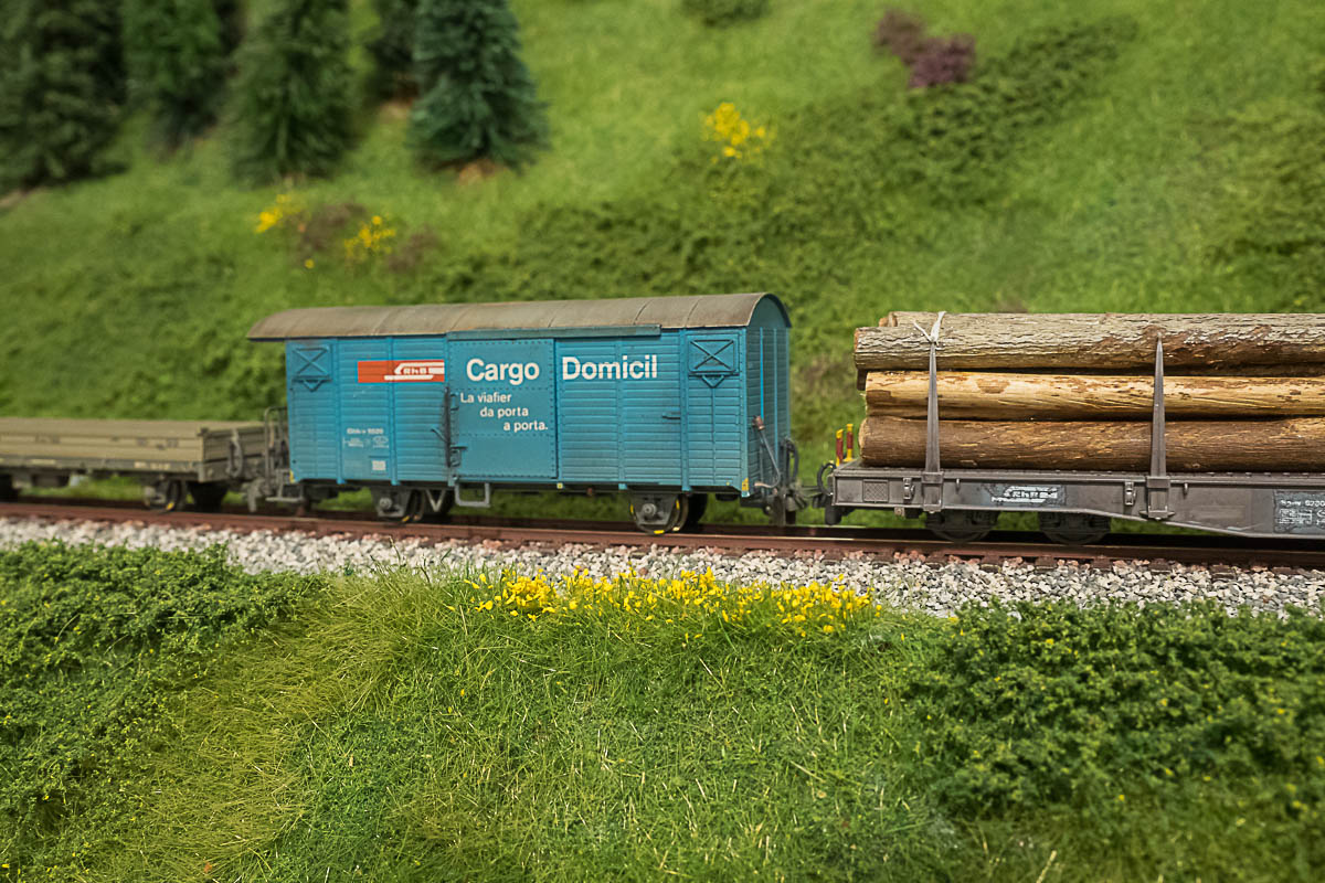 2023 03 24 - vegetazione-17.jpg