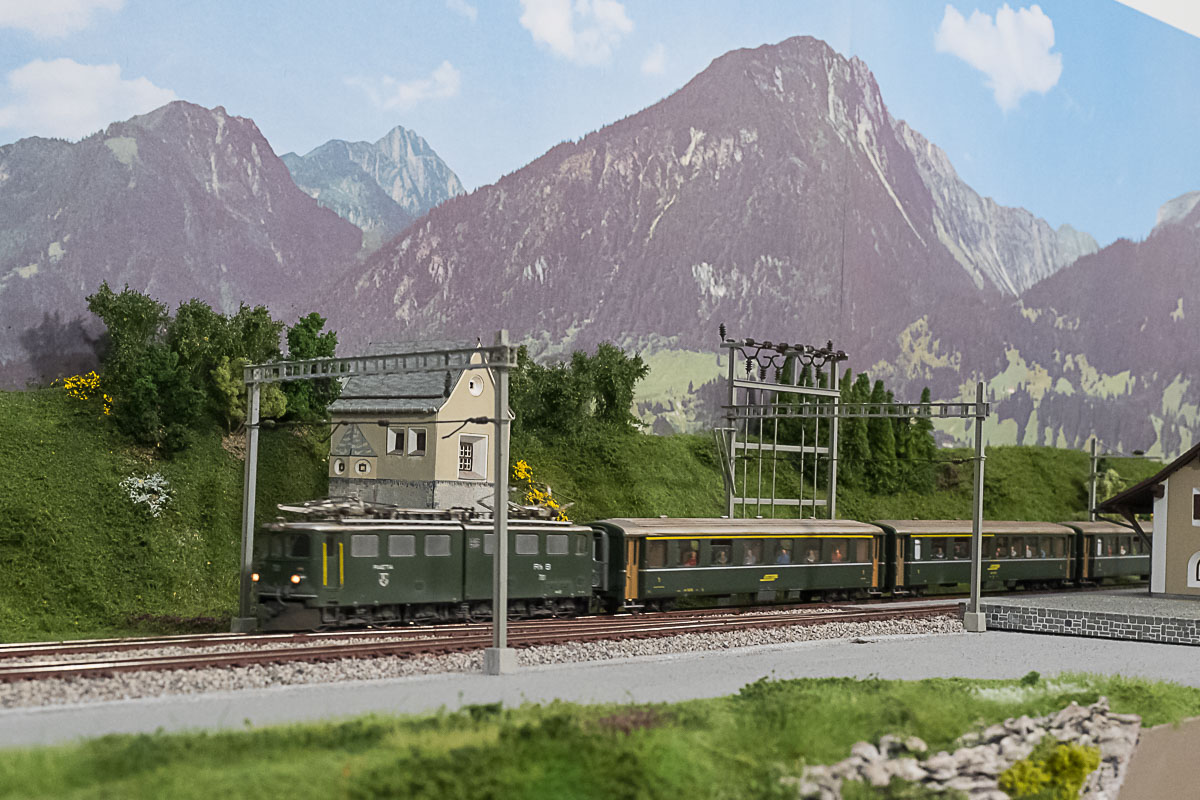 2023 04 22 - ancora vegetazione-2.jpg