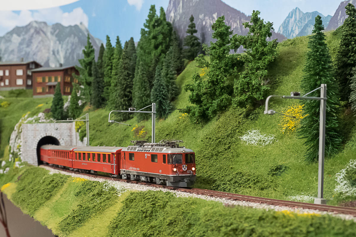 2023 04 22 - ancora vegetazione-5.jpg