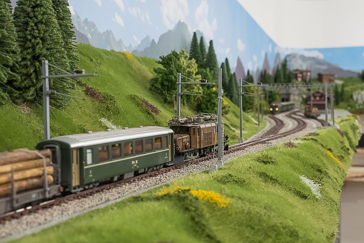 2023 04 22 - ancora vegetazione-6.jpg