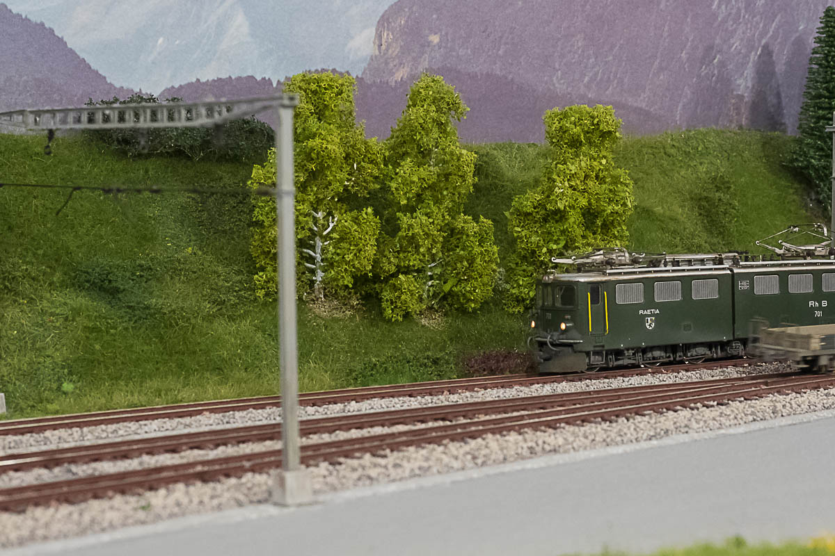 2023 04 22 - ancora vegetazione-7.jpg