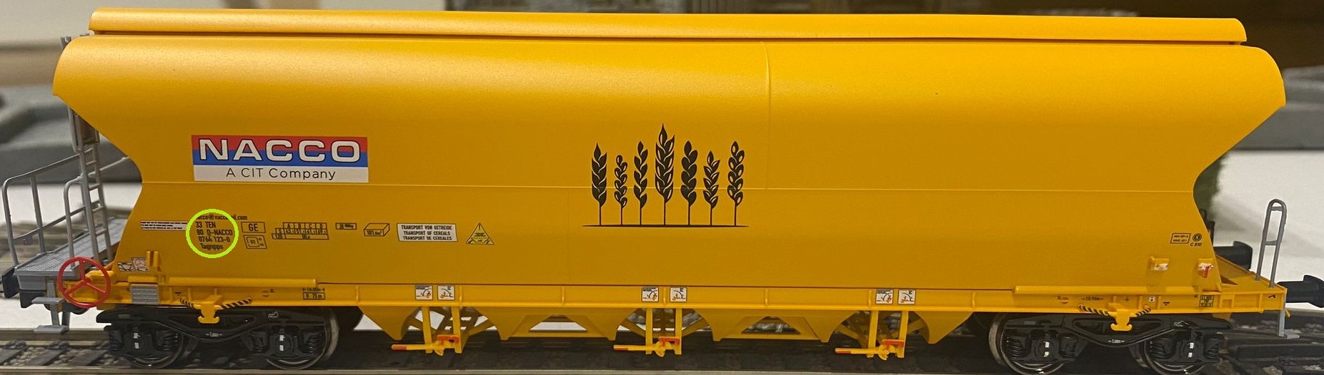 Immagine WhatsApp 2023-05-07 ore 09.54.05.jpg