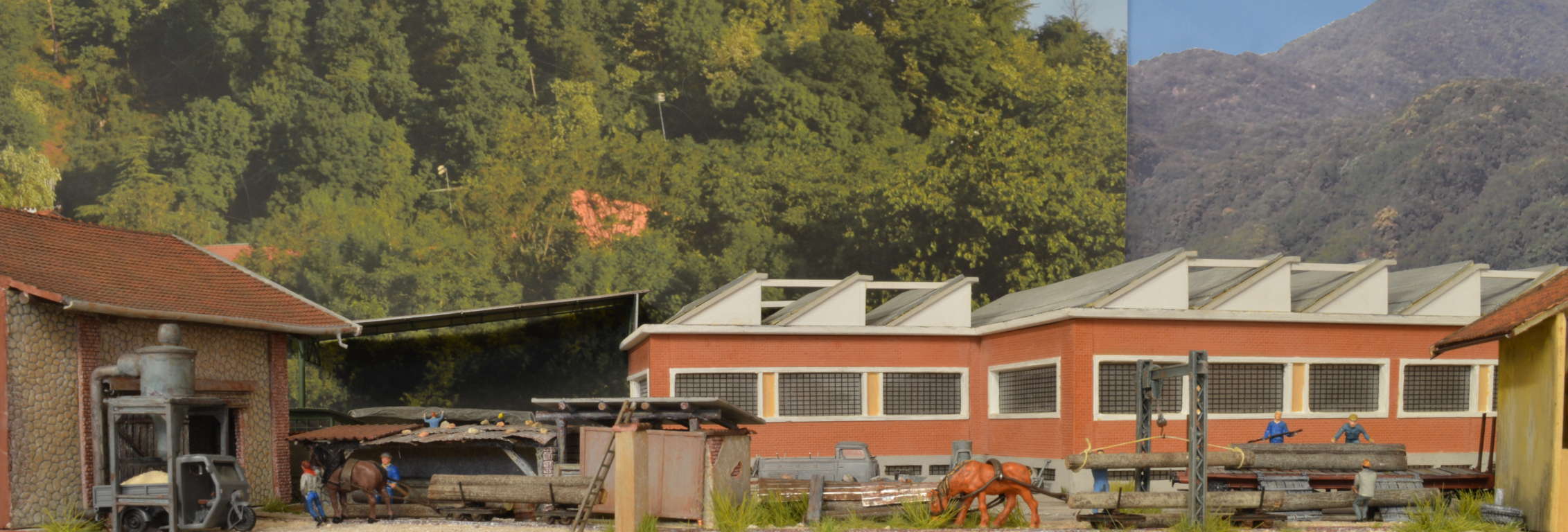 DSC_5937 (FILEminimizer).JPG