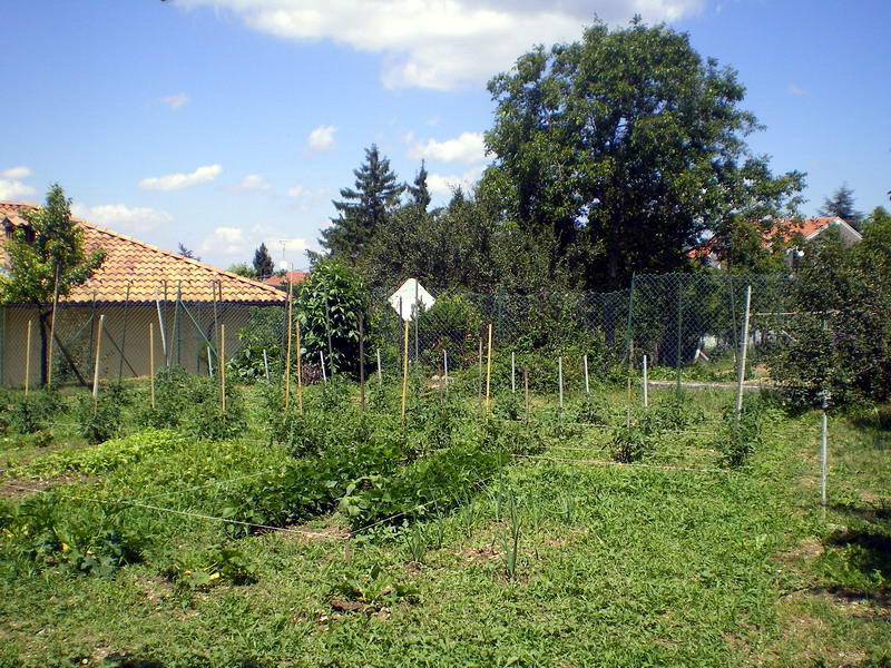 Orto.jpg