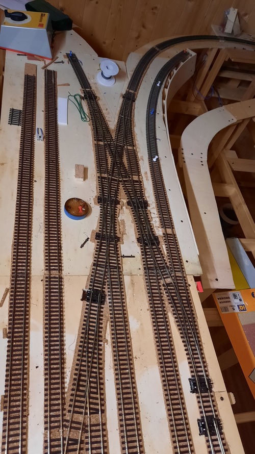 20231008_192730 (1).jpg