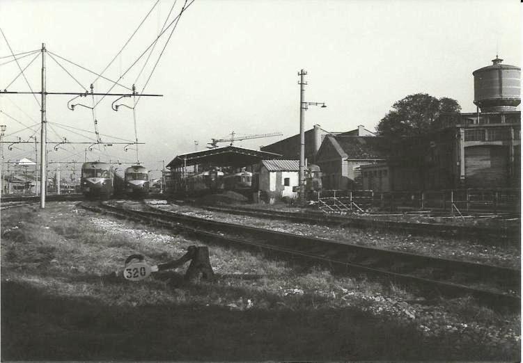 DL Treviso TV20002.jpg