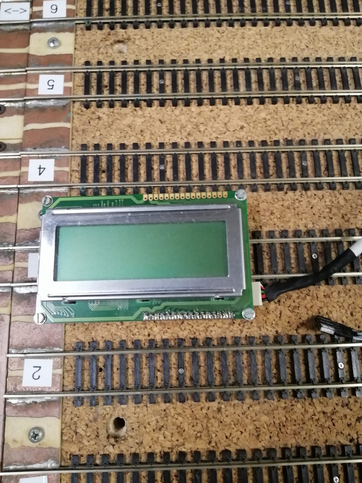 WhatsApp Image 2023-10-25 at 17.17.39.jpeg