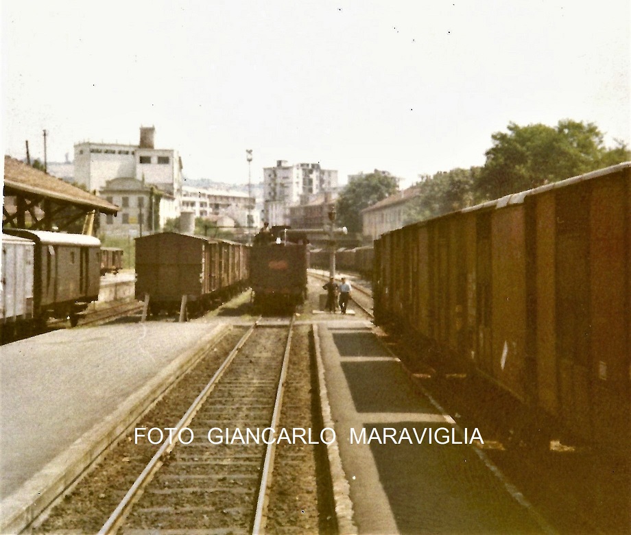 Gr.640 alba M - Copia - Copia.jpg