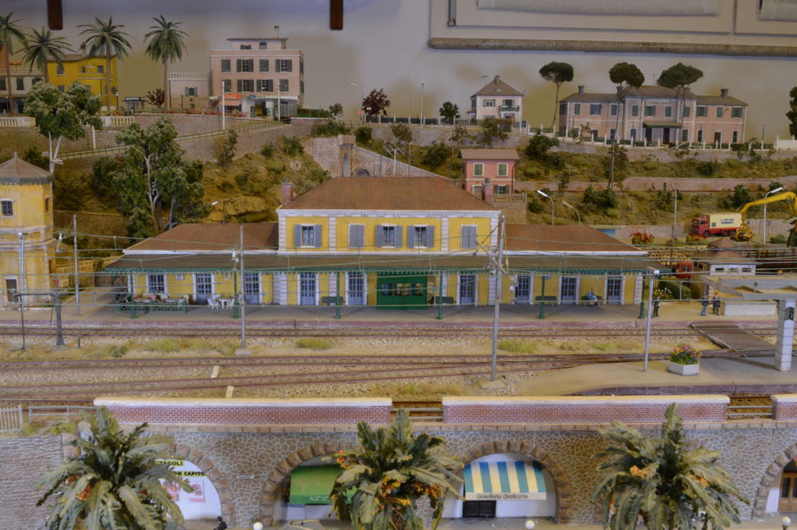 DSC_6582 (FILEminimizer).JPG