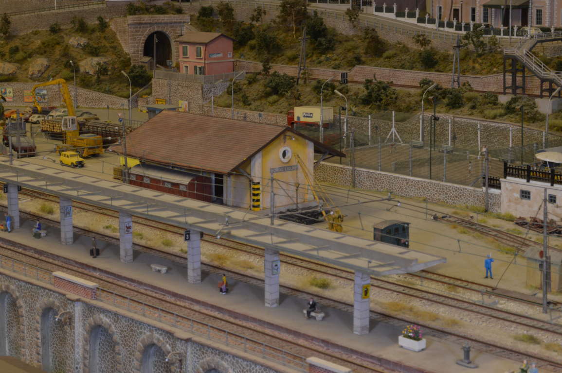 DSC_6589 (FILEminimizer).JPG