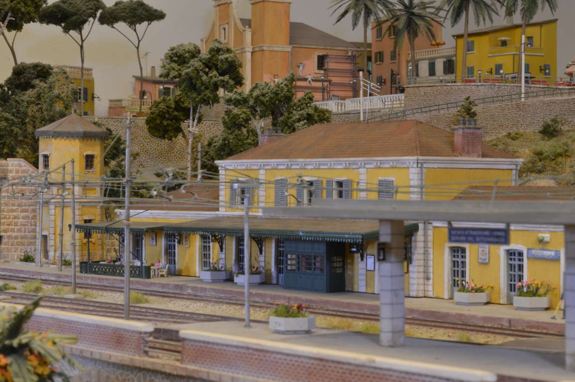 DSC_6632 (FILEminimizer).JPG