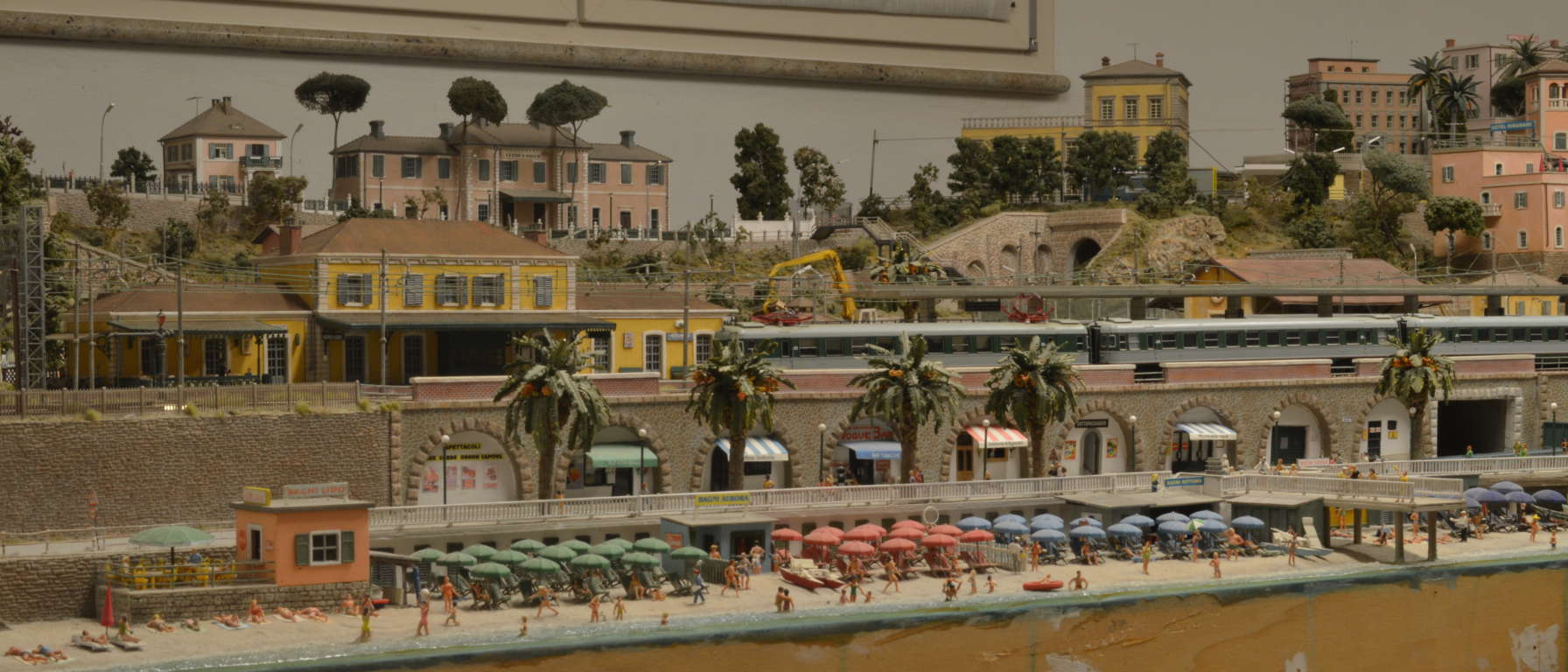 DSC_6646bis (FILEminimizer).jpg