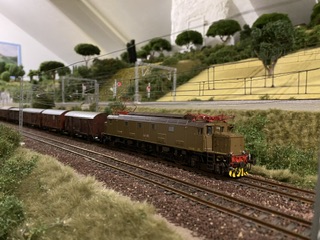 IMG_1398.jpeg