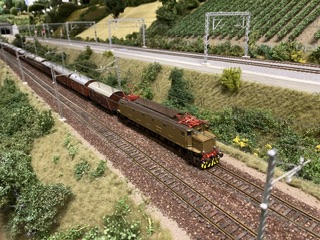 IMG_1403.jpeg