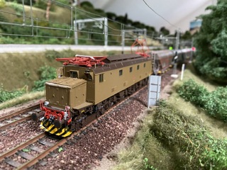 IMG_1393.jpeg