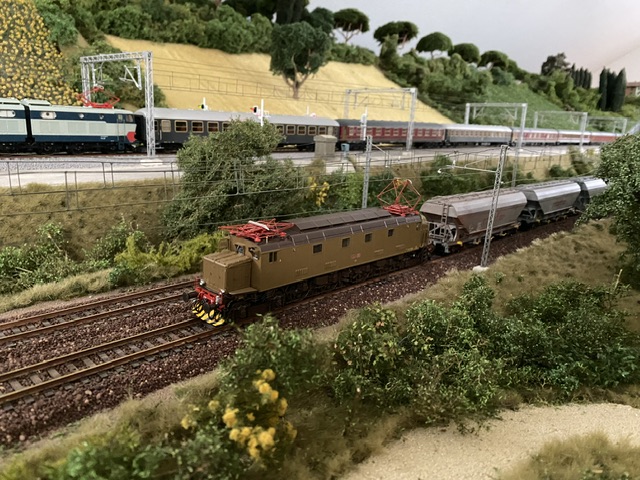 IMG_1390.jpeg