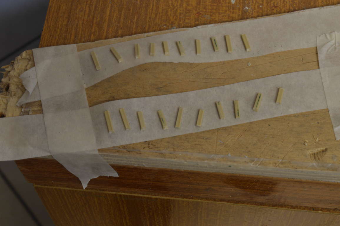 DSC_6765 (FILEminimizer).JPG