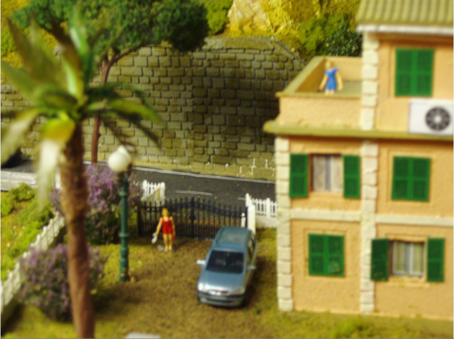 Dettagli giardino.JPG