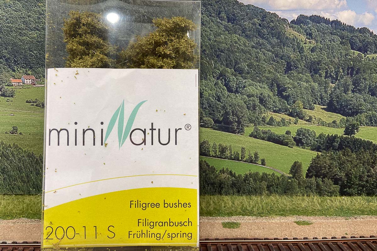 2024 06 09 - alberi-Silhouette 1.jpg