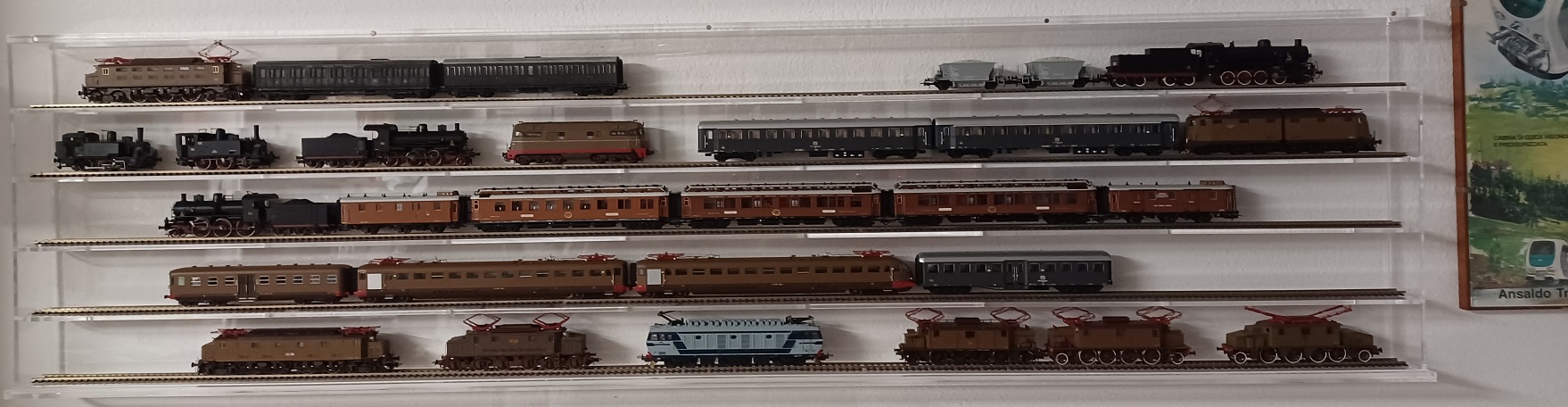 20250222_122542 ritagliata e al 45percento.jpg