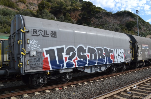 Screenshot 2025-03-21 141109.jpg