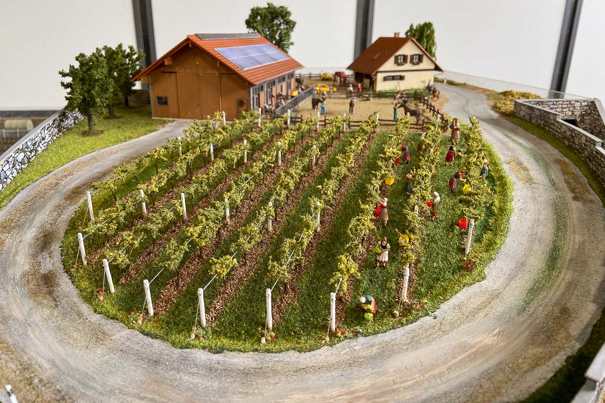 2025 05 - Meeting FREMO Crescentino-6.jpg