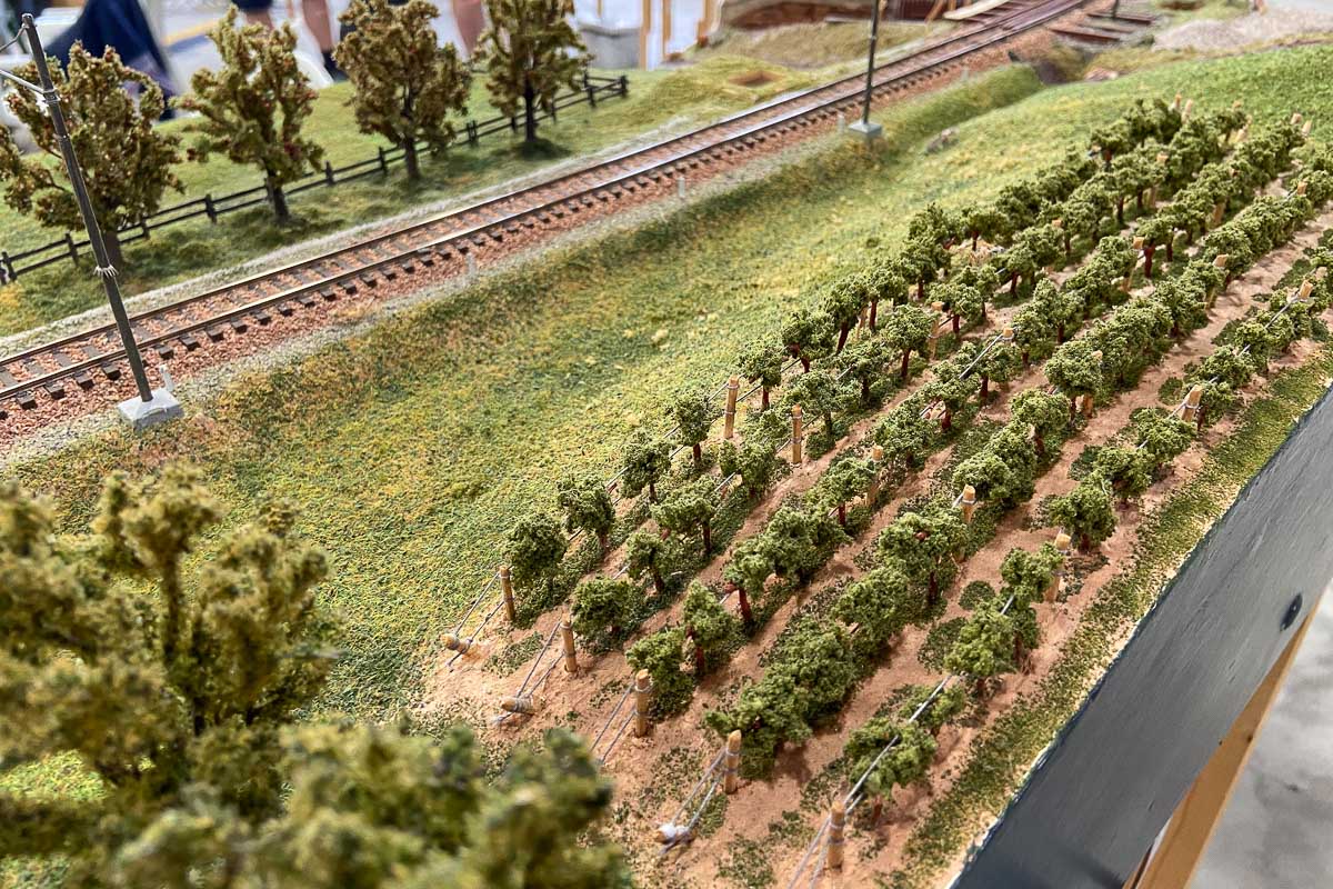 2025 05 - Meeting FREMO Crescentino-15.jpg