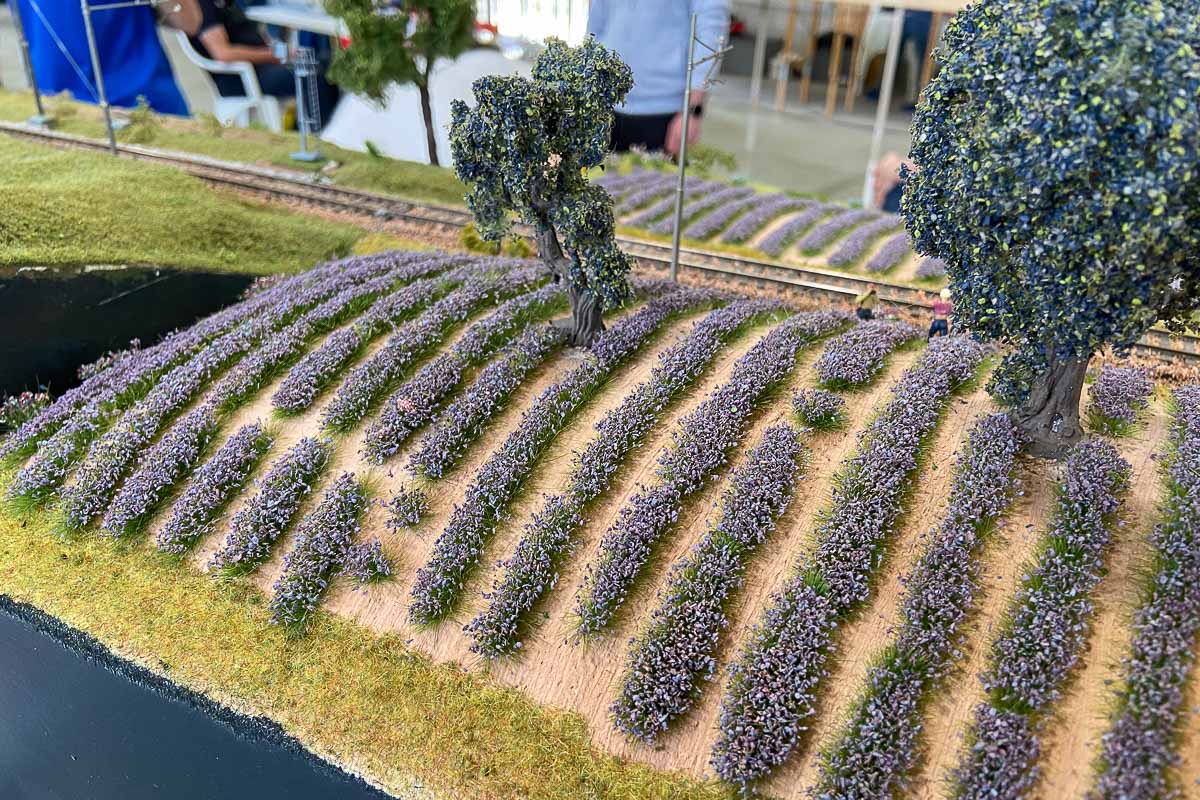 2025 05 - Meeting FREMO Crescentino-35.jpg