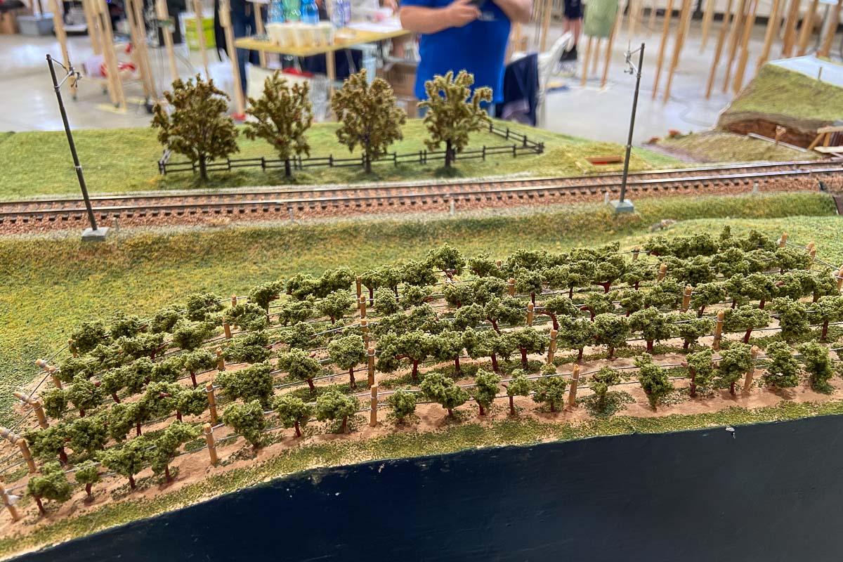 2025 05 - Meeting FREMO Crescentino-39.jpg