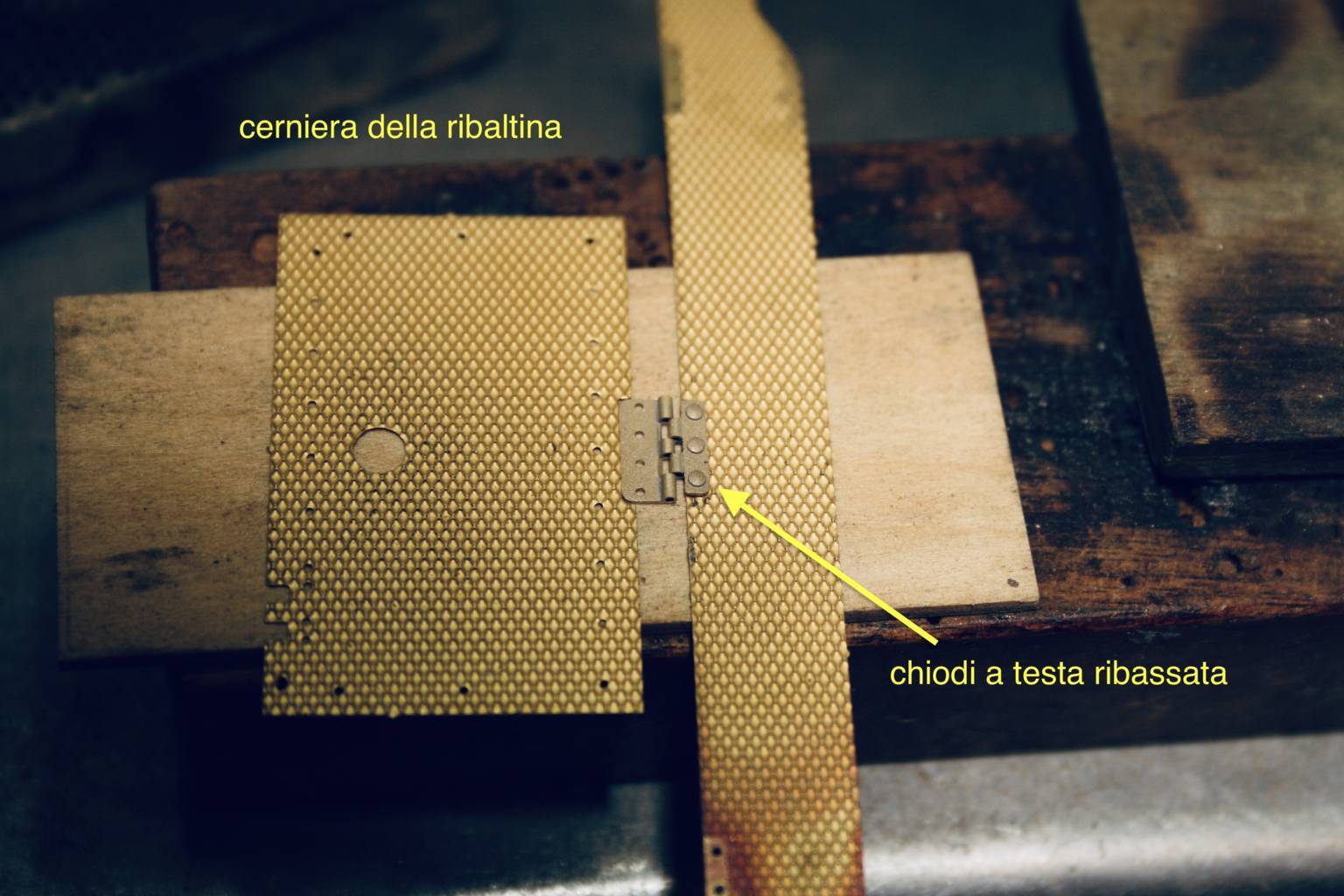 IMG_0314 (FILEminimizer).jpg