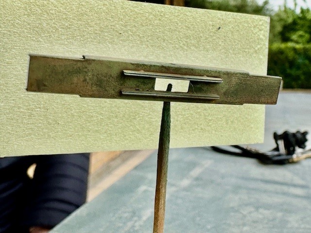 Sogliola a balconcino 13.jpg