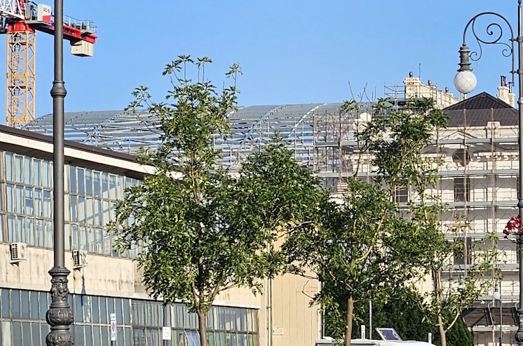 Campo_Marzio_lavori (3).jpg