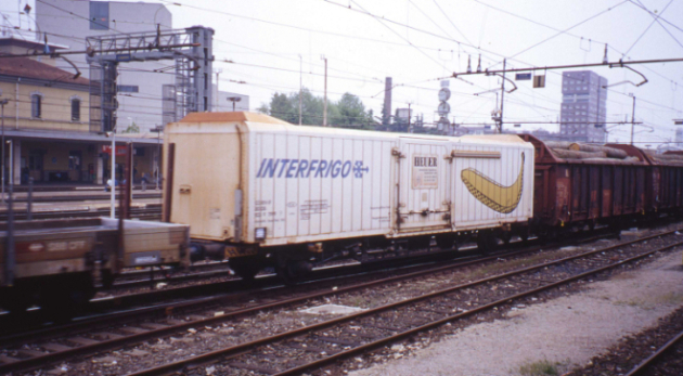 IF banane MI greco 2007 (1).jpg