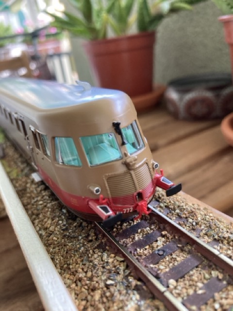 IMG_8966 - dimensioni medie.jpeg