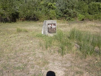 DSCN1228 - Copia.JPG