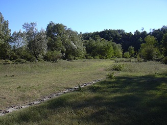 DSCN1229 - Copia.JPG