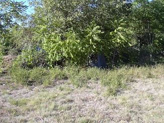 DSCN1230 - Copia.JPG