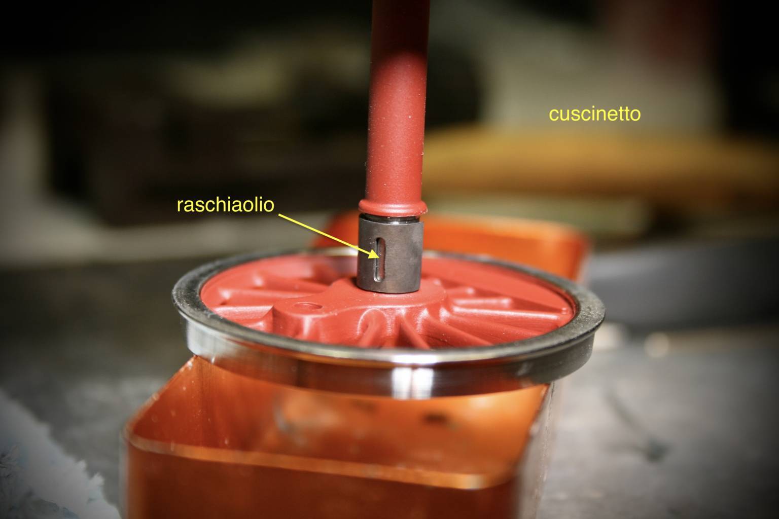 IMG_1713 (FILEminimizer).JPG