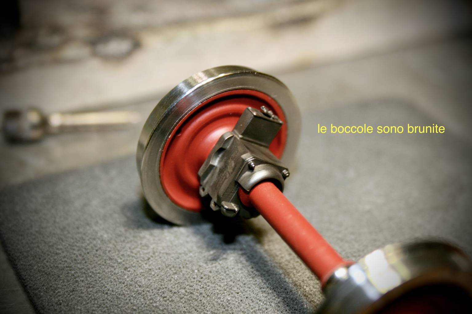 IMG_1774 2 (FILEminimizer).JPG