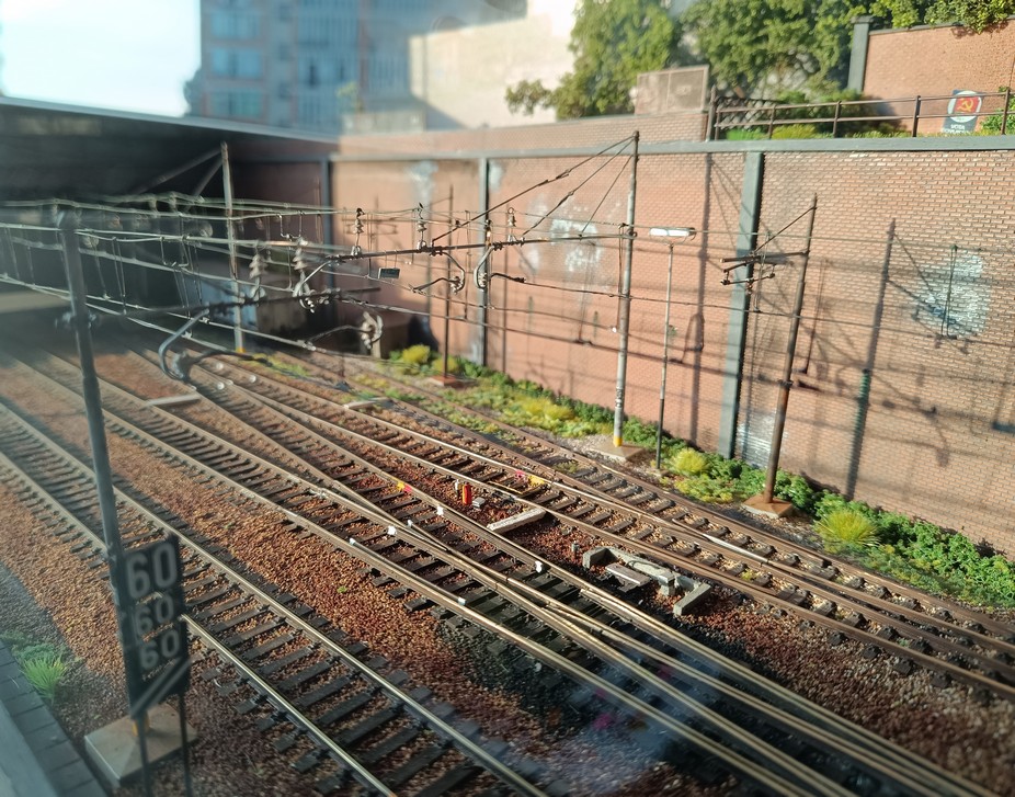 foto1.jpg