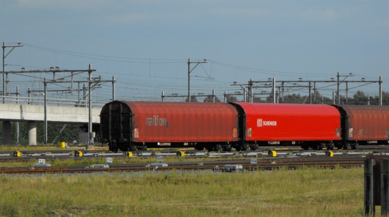Rils-DB.jpg