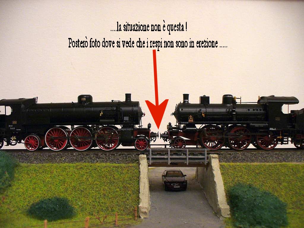 P1090488.jpg