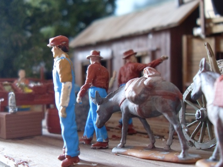 l' asino arriva dove il trattore non osa (Copia).JPG