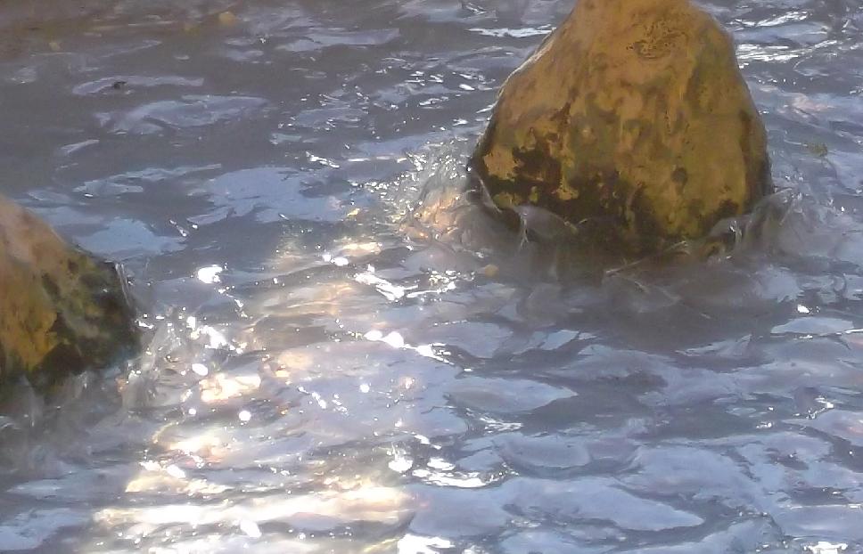 acqua.JPG