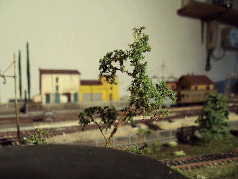 Pianta dietro officina.JPG