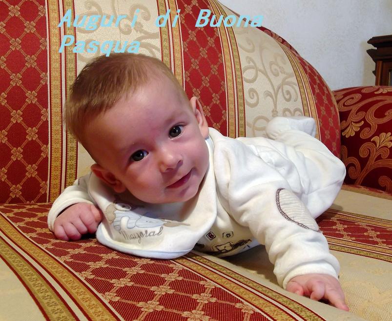 DSCF3439 - Copia.JPG